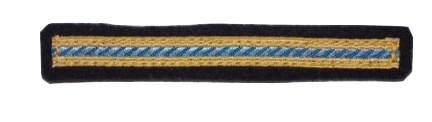 c31